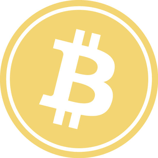 The price of Bitcoin at the start of 2025? [USD]
