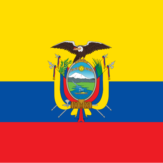 Who will win or advance to the next round in Round 1 of the 2025 Ecuadoran presidential election?