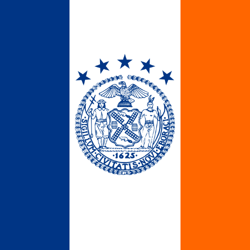 Who will win the New York City mayoral election of 2025 ?