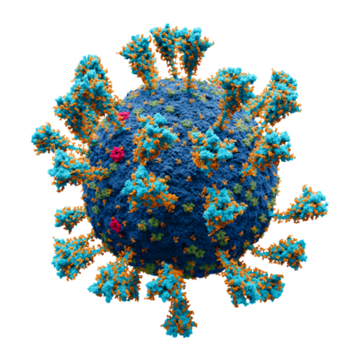 Will Science retract “The Huanan Seafood Wholesale Market in Wuhan was the early epicenter of the COVID-19 pandemic” by the end of 2025?
