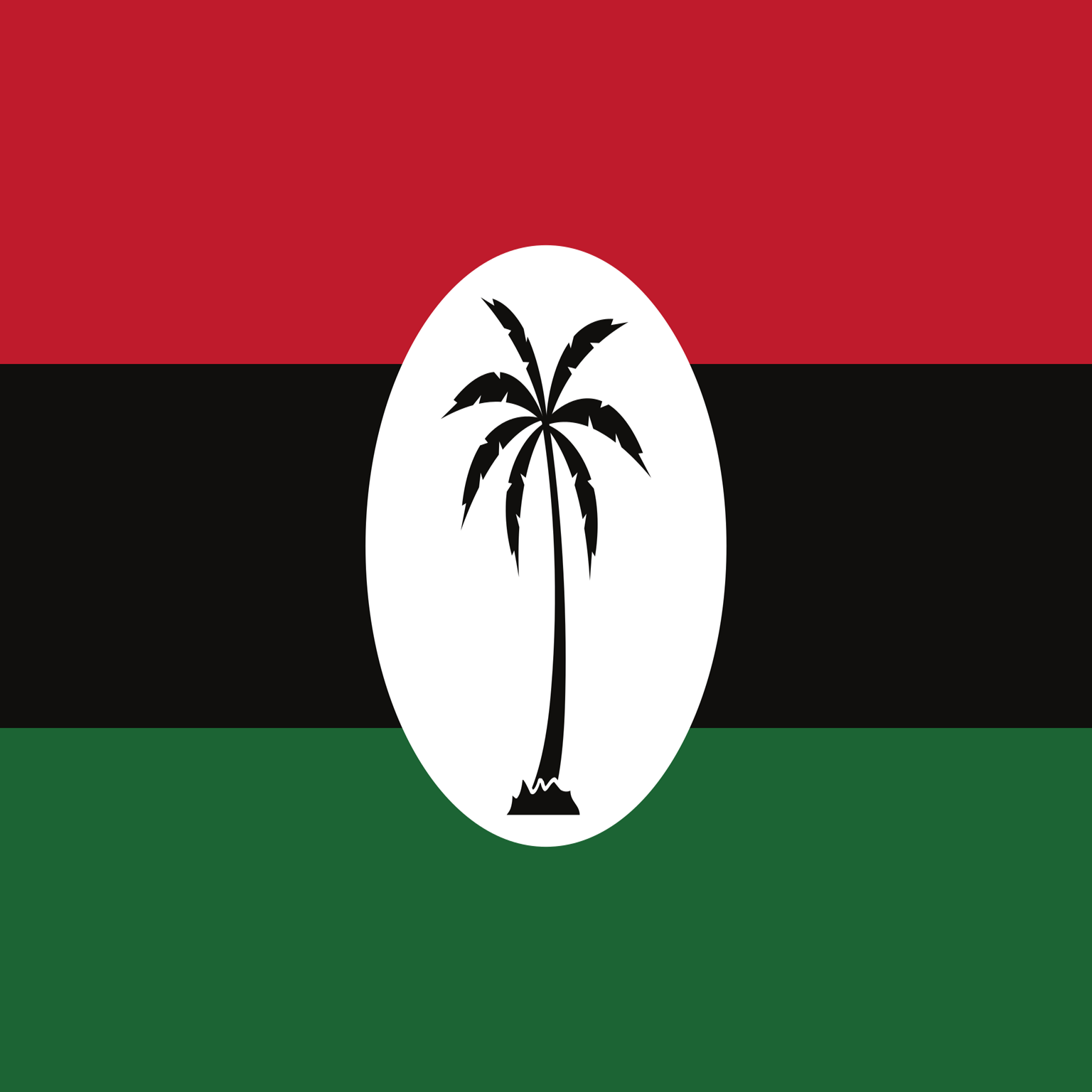 People's National Congress Reform (PNCR)